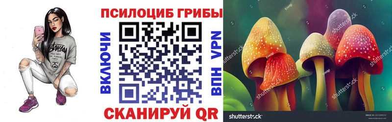 Галлюциногенные грибы мицелий  закладка  Ачинск 